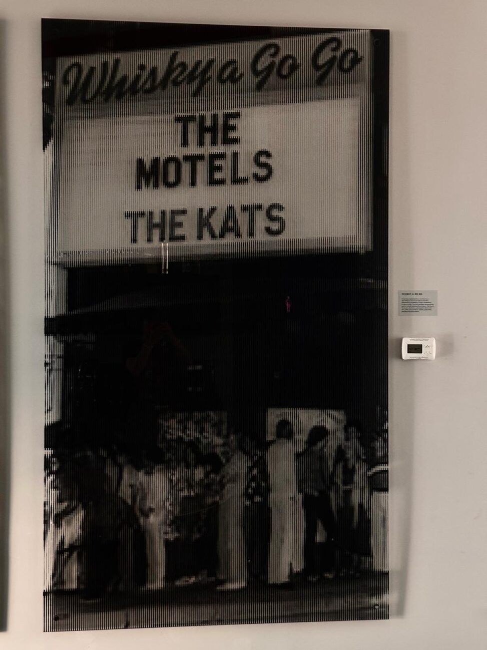 DietroLeQuinte - GOS x Whiskey a Go Go